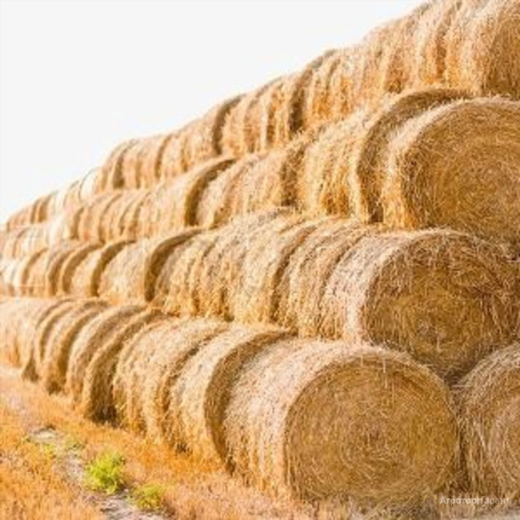 Купить сено в рулонах в свердловской области с доставкой